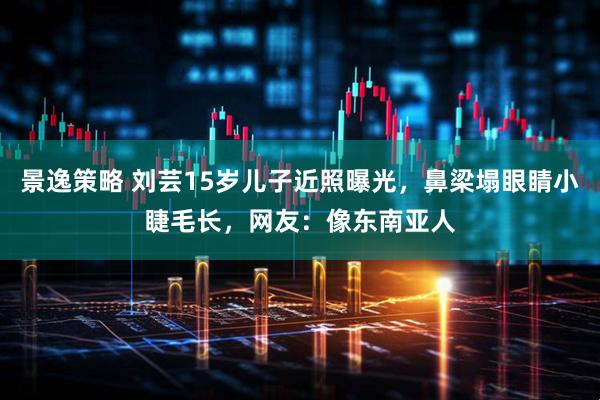 景逸策略 刘芸15岁儿子近照曝光，鼻梁塌眼睛小睫毛长，网友：像东南亚人