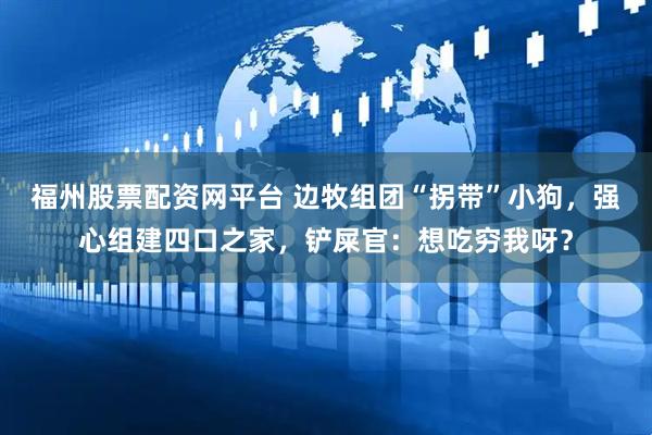 福州股票配资网平台 边牧组团“拐带”小狗，强心组建四口之家，铲屎官：想吃穷我呀？