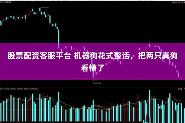 股票配资客服平台 机器狗花式整活，把两只真狗看懵了